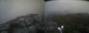 ./images/calvert/buxton2/20210912/buxton220210912_142502M.jpg