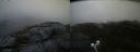 ./images/calvert/buxton2/20210913/buxton220210913_185003M.jpg