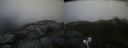 ./images/calvert/buxton2/20210913/buxton220210913_185503M.jpg