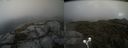 ./images/calvert/buxton2/20210914/buxton220210914_184503M.jpg