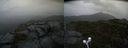 ./images/calvert/buxton2/20210916/buxton220210916_173502M.jpg