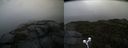 ./images/calvert/buxton2/20210917/buxton220210917_081002M.jpg