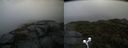 ./images/calvert/buxton2/20210917/buxton220210917_081502M.jpg