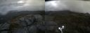 ./images/calvert/buxton2/20210917/buxton220210917_135502M.jpg