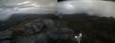 ./images/calvert/buxton2/20210917/buxton220210917_140502M.jpg