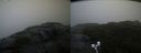 ./images/calvert/buxton2/20210918/buxton220210918_080502M.jpg