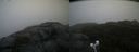 ./images/calvert/buxton2/20210918/buxton220210918_094502M.jpg