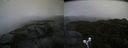 ./images/calvert/buxton2/20210918/buxton220210918_102502M.jpg