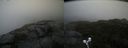 ./images/calvert/buxton2/20210918/buxton220210918_105502M.jpg