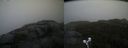 ./images/calvert/buxton2/20210918/buxton220210918_111002M.jpg