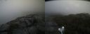 ./images/calvert/buxton2/20210918/buxton220210918_114003M.jpg