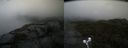 ./images/calvert/buxton2/20210918/buxton220210918_114503M.jpg