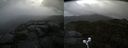./images/calvert/buxton2/20210918/buxton220210918_130502M.jpg
