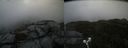 ./images/calvert/buxton2/20210919/buxton220210919_134503M.jpg