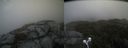 ./images/calvert/buxton2/20210919/buxton220210919_135002M.jpg