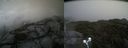 ./images/calvert/buxton2/20210919/buxton220210919_135502M.jpg