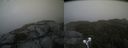 ./images/calvert/buxton2/20210919/buxton220210919_174502M.jpg