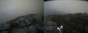 ./images/calvert/buxton2/20210919/buxton220210919_175503M.jpg
