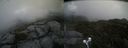 ./images/calvert/buxton2/20210919/buxton220210919_182003M.jpg