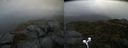 ./images/calvert/buxton2/20210920/buxton220210920_113503M.jpg