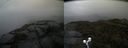 ./images/calvert/buxton2/20210920/buxton220210920_135003M.jpg