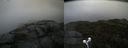 ./images/calvert/buxton2/20210920/buxton220210920_142002M.jpg