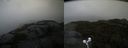 ./images/calvert/buxton2/20210920/buxton220210920_161503M.jpg