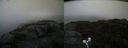 ./images/calvert/buxton2/20210920/buxton220210920_163503M.jpg