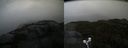 ./images/calvert/buxton2/20210920/buxton220210920_172002M.jpg