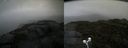 ./images/calvert/buxton2/20210920/buxton220210920_172502M.jpg