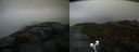./images/calvert/buxton2/20210920/buxton220210920_180003M.jpg