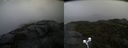 ./images/calvert/buxton2/20210921/buxton220210921_085503M.jpg
