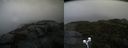 ./images/calvert/buxton2/20210921/buxton220210921_092503M.jpg