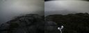 ./images/calvert/buxton2/20210921/buxton220210921_094503M.jpg