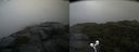 ./images/calvert/buxton2/20210921/buxton220210921_112503M.jpg