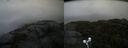 ./images/calvert/buxton2/20210921/buxton220210921_115003M.jpg
