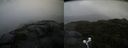 ./images/calvert/buxton2/20210921/buxton220210921_154002M.jpg