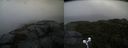 ./images/calvert/buxton2/20210921/buxton220210921_171503M.jpg