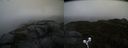 ./images/calvert/buxton2/20210921/buxton220210921_182502M.jpg