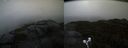 ./images/calvert/buxton2/20210921/buxton220210921_185503M.jpg