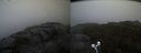 ./images/calvert/buxton2/20210921/buxton220210921_190503M.jpg