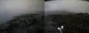 ./images/calvert/buxton2/20210925/buxton220210925_142002M.jpg