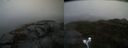 ./images/calvert/buxton2/20210925/buxton220210925_152002M.jpg