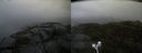 ./images/calvert/buxton2/20210925/buxton220210925_152502M.jpg