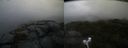 ./images/calvert/buxton2/20210925/buxton220210925_164002M.jpg