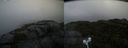 ./images/calvert/buxton2/20210925/buxton220210925_171502M.jpg