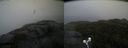 ./images/calvert/buxton2/20210926/buxton220210926_085502M.jpg