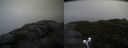 ./images/calvert/buxton2/20210926/buxton220210926_090503M.jpg