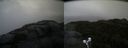 ./images/calvert/buxton2/20210926/buxton220210926_091003M.jpg