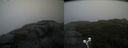 ./images/calvert/buxton2/20210926/buxton220210926_092503M.jpg